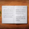 کتاب آموزش جامع ملودی نوازی در گیتار پاپ