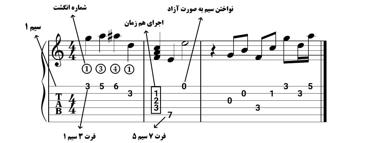 آموزش تبلچر